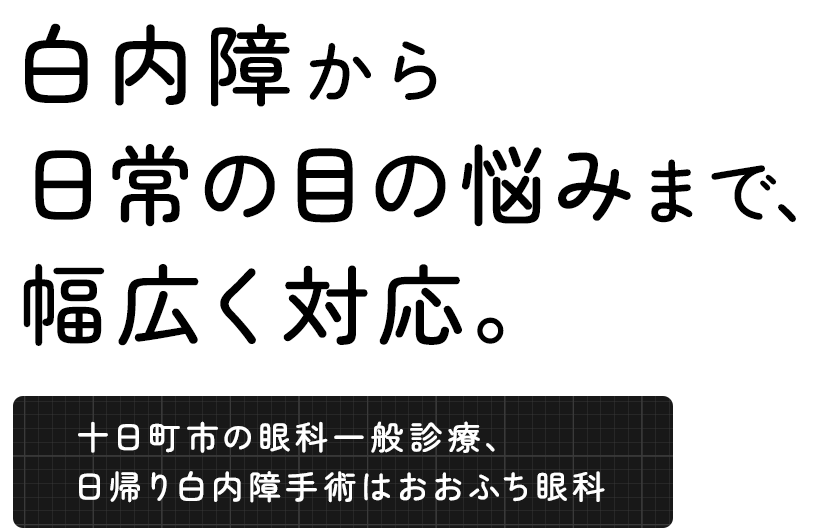 白内障から日常の目の悩みまで、幅広く対応。十日町市の眼科一般診療、日帰り白内障手術はおおふち眼科